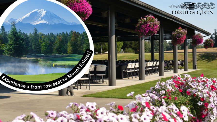 Experience a front row seat to Mount Rainier!